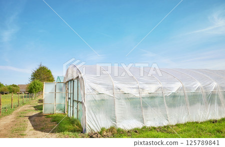 Polytunnels on an organic farm against the blue sky. 125789841