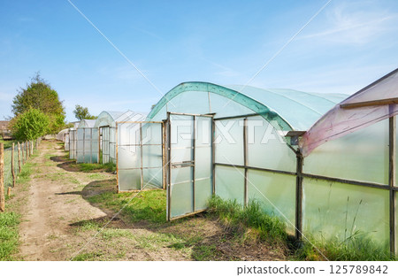 Polytunnels on an organic farm against the blue sky. Polytunnels on an organic farm against the blue sky. 125789842