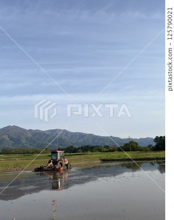  先睹為快 125790021