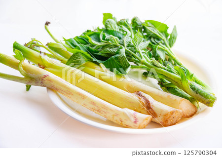 Freshly picked Udo and leaves 125790304