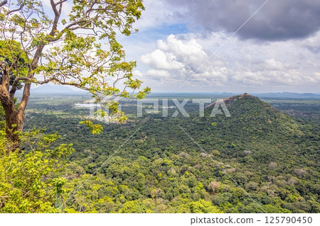 View from Sigiriya Rock over lush forest landscape under dramatic cloudy sky 125790450