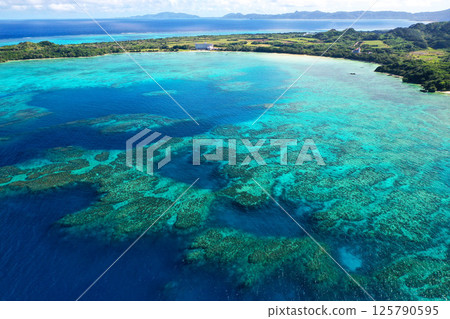 Coral layer in Sukuji Bay, Ishigaki Island, Okinawa 125790595