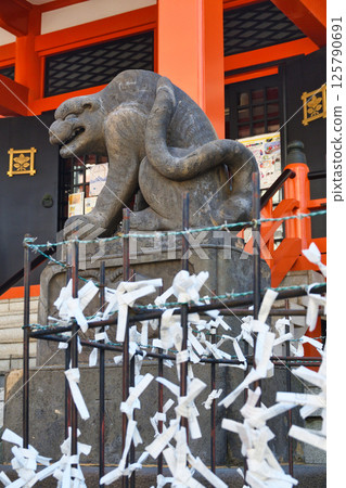 善國寺、石虎（東京都新宿區神樂坂） 125790691