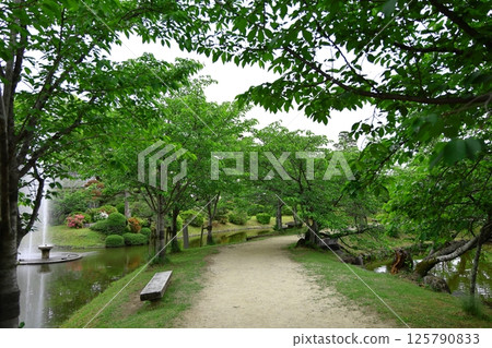 Ogi Park - Fresh greenery - 125790833