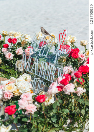 Beach Proposal Decor with Will You Marry Me Sign, Flowers and Cozy Area. Will You Marry Me Proposal Beach Proposal Decor with Will You Marry Me Sign, Flowers and Cozy Area. Will You Marry Me Proposal 125790939