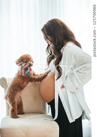 Beautiful pregnant woman at home with her puppy at home Beautiful pregnant woman at home with her puppy at home 125790966