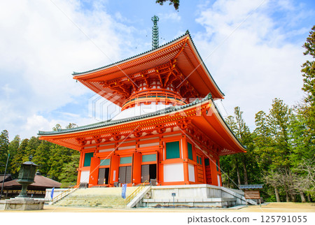 世界遺產高野山:和歌山縣團上伽藍的根本大東和藍天 世界遺產高野山:和歌山縣團上伽藍的根本大東和藍天 125791055