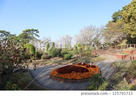 Flower beds at Tamagawadai Park (Ota Ward, Tokyo) Flower beds at Tamagawadai Park (Ota Ward, Tokyo) 125791713