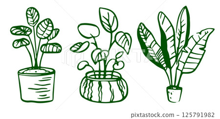 A set of line art illustrations featuring various indoor plants in flowerpots and botanical elements. Includes simple drawings in a minimalist style. Suitable for home decor and gardening concepts. A set of line art illustrations featuring various indoor plants in flowerpots and botanical elements. Includes simple drawings in a minimalist style. Suitable for home decor and gardening concepts. 125791982