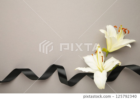 Two white liles flowers with black ribbon on grey background. Mourning or funeral background. 125792340