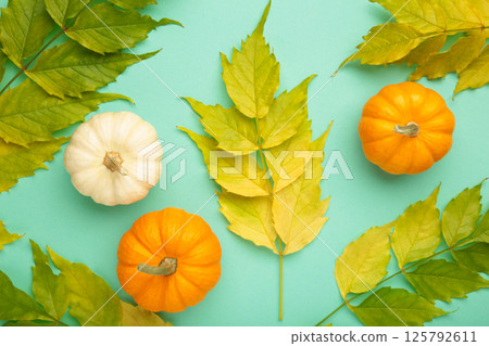 Autumn harvest with leaves and pumpkins on mint background. Autumn harvest with leaves and pumpkins on mint background. 125792611