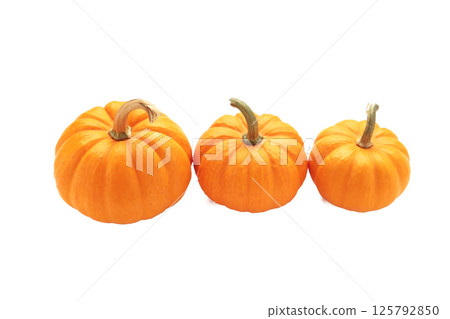 Mini orange pumpkins isolated on white background. Mini orange pumpkins isolated on white background. 125792850