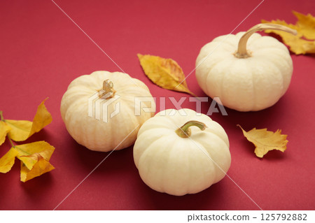 White pumpkins on red background. Fall autumn minimal concept. Flat lay, top view. 125792882
