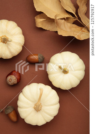 White pumpkins on brown background. Fall autumn minimal concept. Flat lay, top view. 125792917