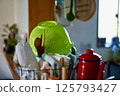Fashionable kitchen utensils 125793427