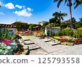 Flower-filled Taketomi Elementary School and Taketomi Junior High School 125793558