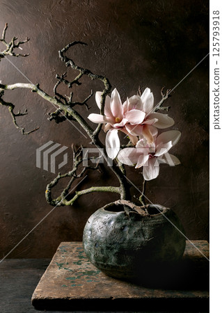 Elegant Magnolia Blooms In Ceramic Vase Elegant Magnolia Blooms In Ceramic Vase 125793918