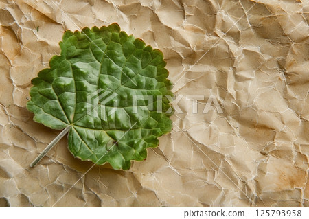 Eco friendly brown paper honeycomb wrap with green leaf design for sustainable product packaging 125793958