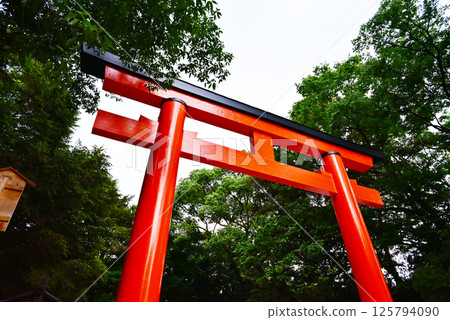 京都下鴨神社：綠色參道與鳥居 鴨三尾屋神社：紅色鳥居 京都觀光景點 125794090