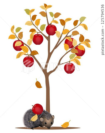 Autumn tree with red apples and a hedgehog on a white background. Autumn tree with red apples and a hedgehog on a white background. 125794536