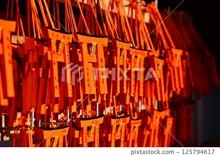 Scenery of Fushimi Inari Taisha Shrine, Torii-shaped votive plaque, Kyoto tourist spot 125794617