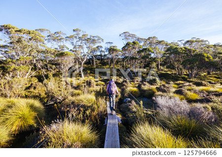 Barn Bluff Sunset View in Tasmania Australia 125794666