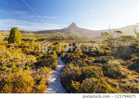 Barn Bluff Sunset View in Tasmania Australia Barn Bluff Sunset View in Tasmania Australia 125794675