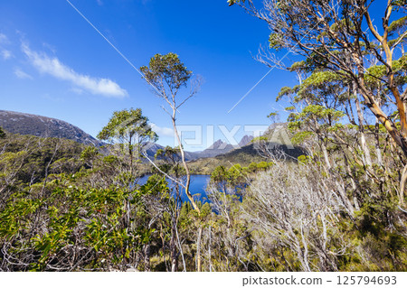 Lake Lilla at Cradle Mountain in Tasmania Australia 125794693