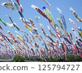 Carp streamers flying in the blue sky at Akutagawa Sakura Tsutsumi Park (photographed in April 2025 in Takatsuki City, Osaka Prefecture) 125794727