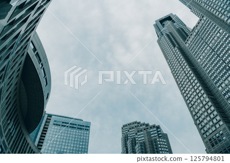 陰天的東京都政府大樓 125794801