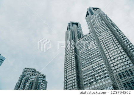 Tokyo Metropolitan Government Building on a cloudy day 125794802