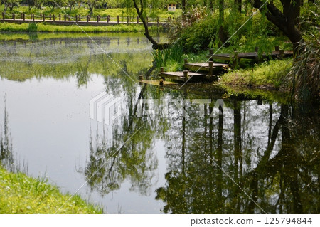 a wooden steps by a small river 125794844