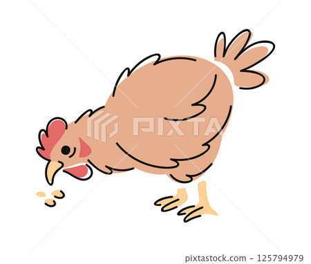 Hen pecking grains hand drawn 125794979