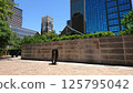 Dallas Museum of Art Garden 125795042