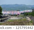 1,000 carp streamers at Akutagawa Sakura Tsutsumi Park (photographed in April 2025 in Takatsuki City, Osaka Prefecture) 125795442