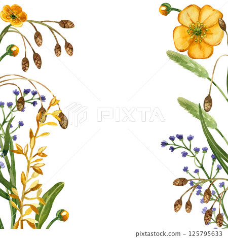 Yellow buttercups, purple wildflowers, cereal plants, timothy grass in a square frame. All objects are hand-painted with watercolors. Watercolor illustration. For printing on postcards, invitations. Yellow buttercups, purple wildflowers, cereal plants, timothy grass in a square frame. All objects are hand-painted with watercolors. Watercolor illustration. For printing on postcards, invitations. 125795633