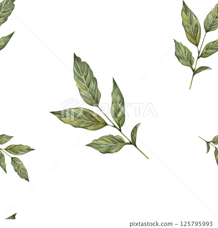 Seamless pattern with watercolor leaves on a sprig of coffee. Hand drawn, isolated on a white background. For prints, cards, textiles, kitchen, invitations 125795993