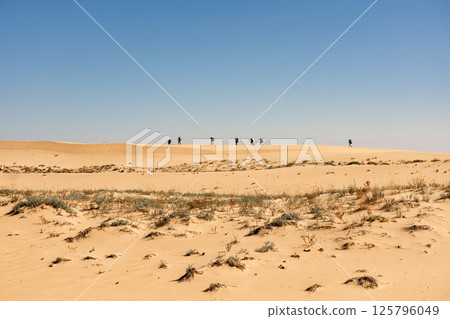 Backpackers walking on a sand dune in the desert. Chara sands, group of tourists 125796049
