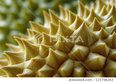 Close up of durian spikes showcasing their sharp, intricate texture and unique pattern. image highlights natural design and detail of fruit exterior 125796263