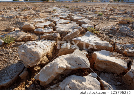 Cracked dry desert ground with scattered rocks and sparse vegetation under clear sky, showcasing harsh and arid environment 125796285