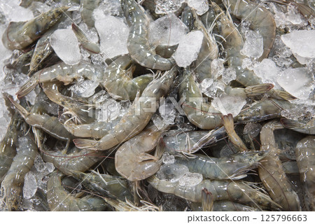 THAILAND CHONBURI SAMAESAN VILLAGE THAILAND CHONBURI SAMAESAN VILLAGE 125796663