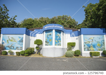 THAILAND CHONBURI SATTAHIP TURTLE PARK THAILAND CHONBURI SATTAHIP TURTLE PARK 125796740