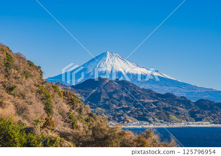 Mount Fuji and Suruga Bay as seen from Satta Pass in Shizuoka City (Shizuoka Prefecture) 125796954