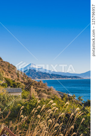 從靜岡市薩埼嶺(靜岡縣)眺望富士山和駿河灣 從靜岡市薩埼嶺(靜岡縣)眺望富士山和駿河灣 125796957