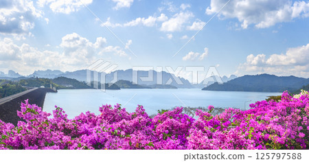 Cheo Lan Lake and Rachaphrapha Dam during the day, panoramic view observation point. Bougainvillea flowers in the foreground. Mountains lakes and other beautiful views and viewing points for travelers Cheo Lan Lake and Rachaphrapha Dam during the day, panoramic view observation point. Bougainvillea flowers in the foreground. Mountains lakes and other beautiful views and viewing points for travelers 125797588