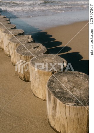 row of logs on beach. pier made of wooden beams on sand.  125797867