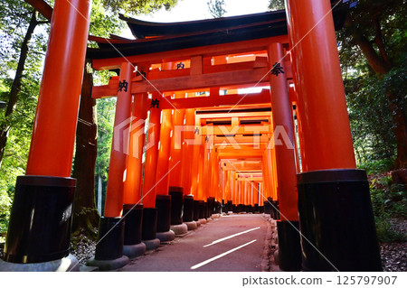Fushimi Inari Taisha Shrine's Thousand Torii Gates - Scenery of fresh greenery and torii gates - Kyoto tourist spots Fushimi Inari Taisha Shrine's Thousand Torii Gates - Scenery of fresh greenery and torii gates - Kyoto tourist spots 125797907