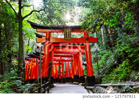 The Thousand Torii Gates of Fushimi Inari Taisha Shrine Scenery of Fushimi Inari Taisha Shrine Kyoto Tourist Spots The Thousand Torii Gates of Fushimi Inari Taisha Shrine Scenery of Fushimi Inari Taisha Shrine Kyoto Tourist Spots 125797911