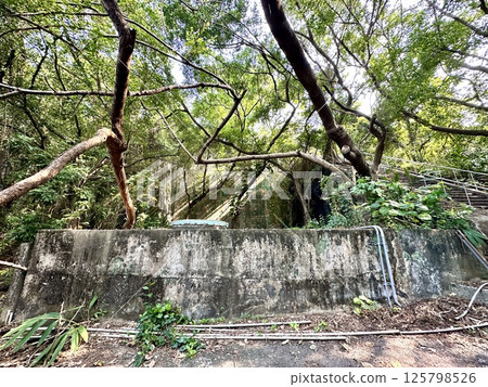 Kameyama Hiking Trail 125798526