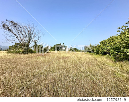 龜山山步道 125798549